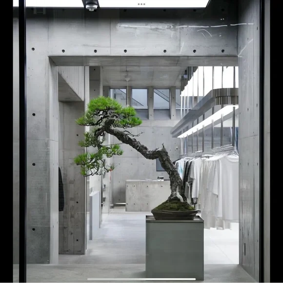 Maje divided light denim - Picture 14 of 16